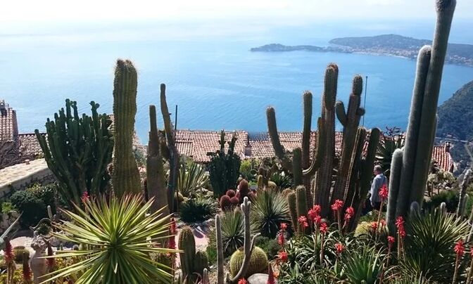 Apartment Monaco, Jardin Exotique