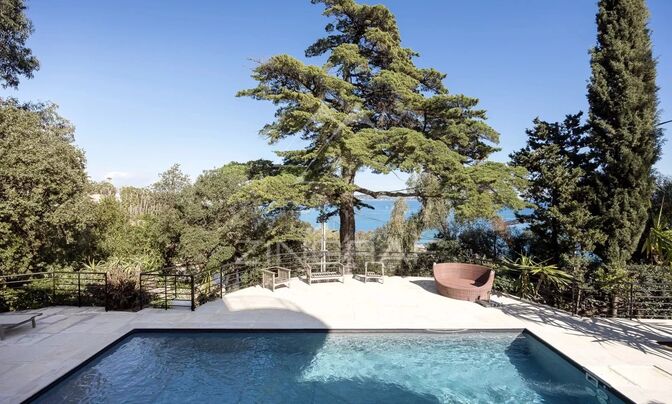 Maison Cannes Californie