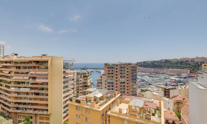 Apartment Monaco, Condamine