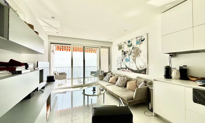 Apartment Monaco, La Rousse