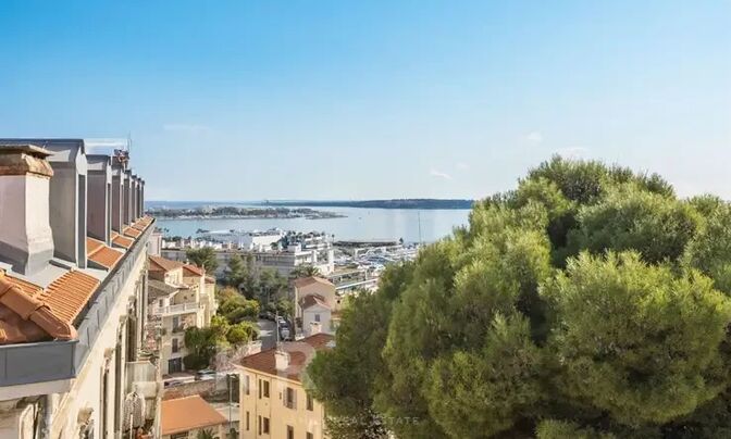 House Cannes