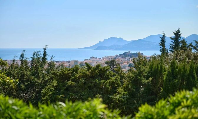 Villa Cannes Californie