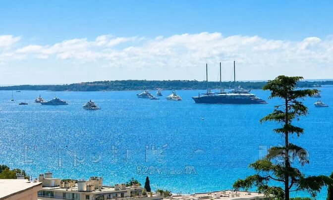 Home Cannes