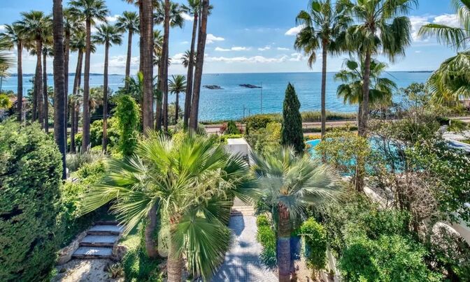 House Cannes