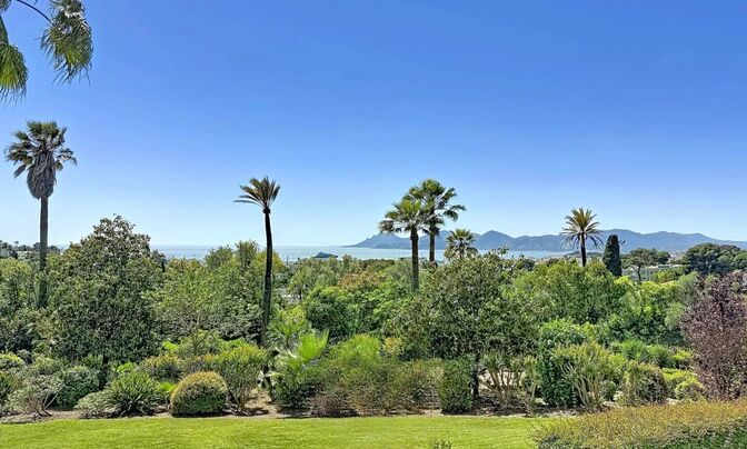 Estate Cannes Californie