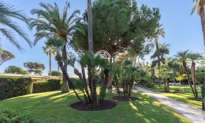 Apartment Cannes