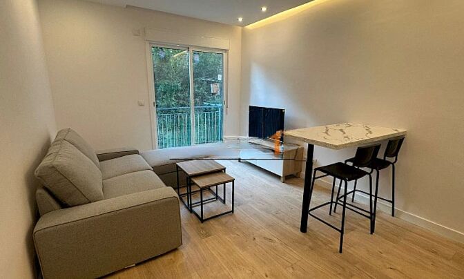 Fantastic renovated 1-bedroom apartment in Andorra la Vella