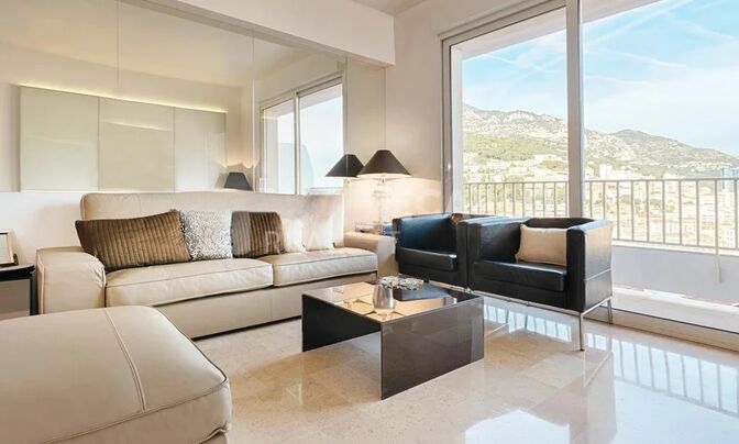 Apartment Monaco, Moneghetti