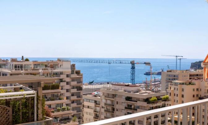 Apartment Monaco, La Rousse