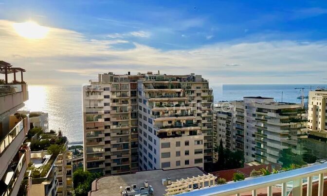 Apartment Monaco, La Rousse