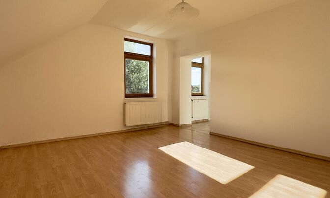 One-room apartment Shishka