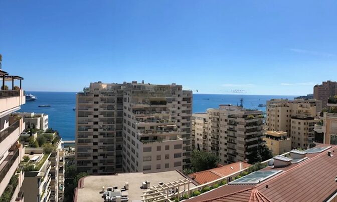 Apartment Monaco, La Rousse