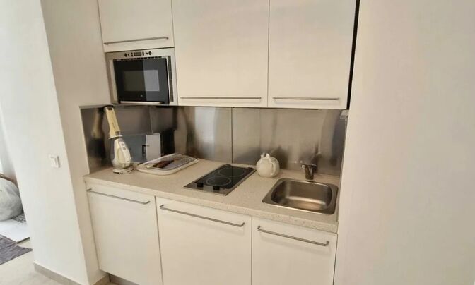 Apartment Monaco, La Rousse