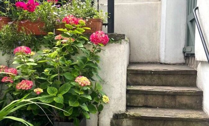 Finborough Road, Chelsea