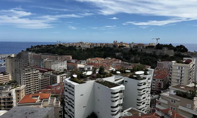 Apartment Monaco, Moneghetti