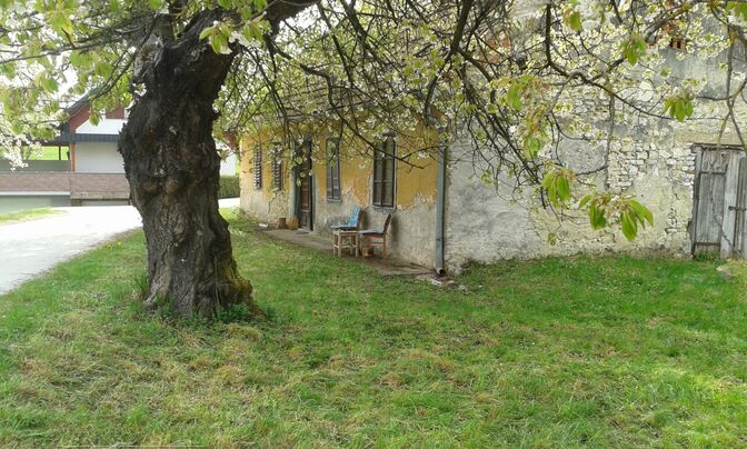 Topoly Estate, Tekachevo