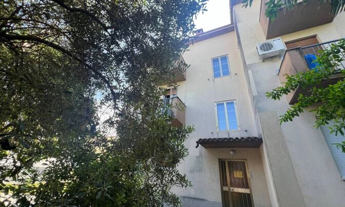 Four-room apartment in the city center