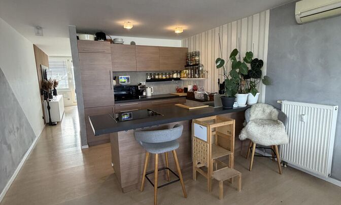 Three-room apartment in Kozje