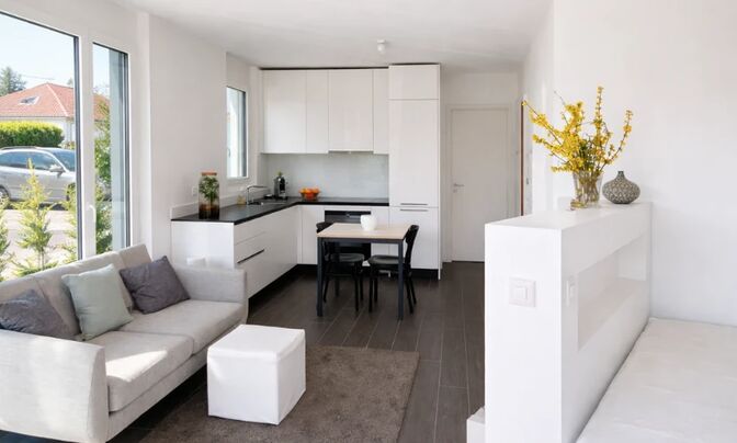 Terrace flat 1.5 rooms