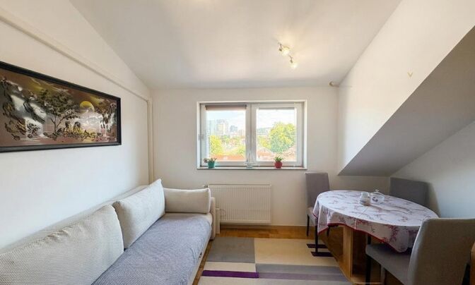 1.5-room apartment Shishka