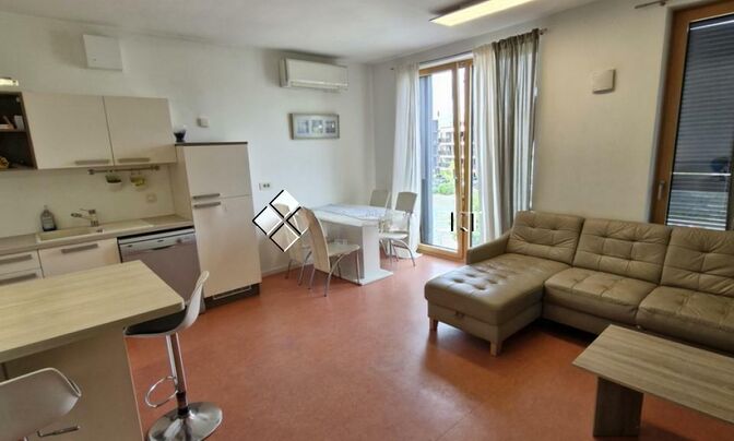 Apartment with 3 rooms in Vrhovci