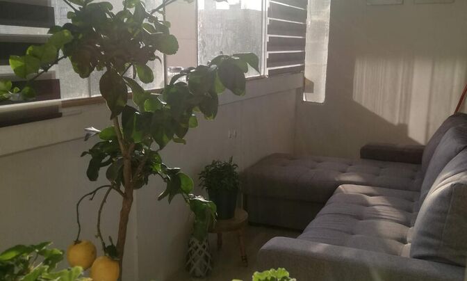 Apartment, 3 rooms Wrzesińska 3