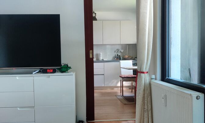 1.5-room apartment Chernuche