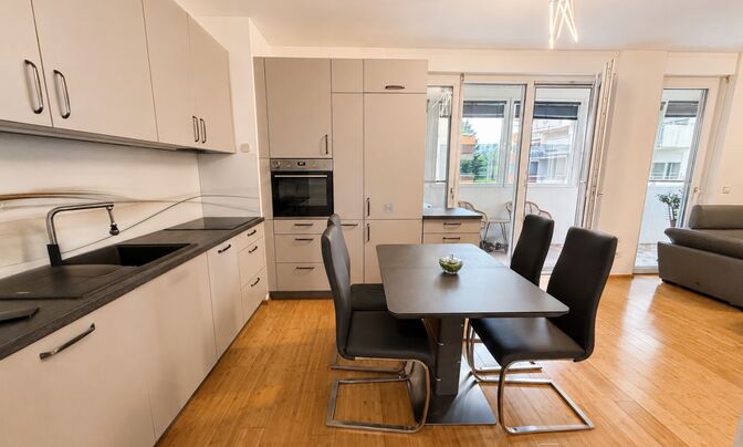 Two-room apartment Črnuče