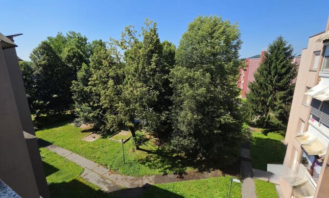 Three-room apartment Dravle