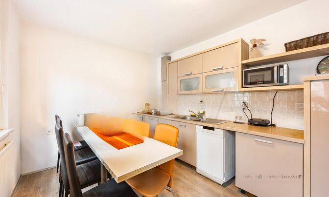 4-room apartment in Fužine
