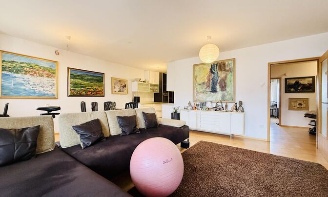Apartment, 4 rooms, Fužine