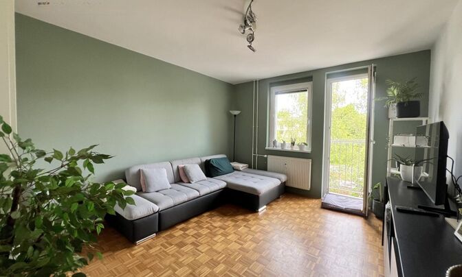 Two-room apartment Colesia