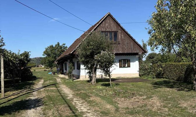 House, Zhiberci
