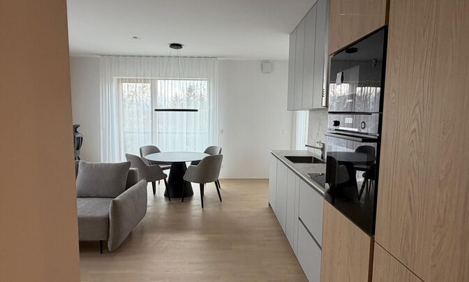 Two-room apartment Rudnik