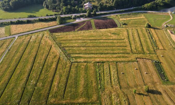 Усадьба Кметияново, Березовка у Любляны