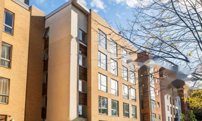 Пекхэм Гроув, Лондон SE15