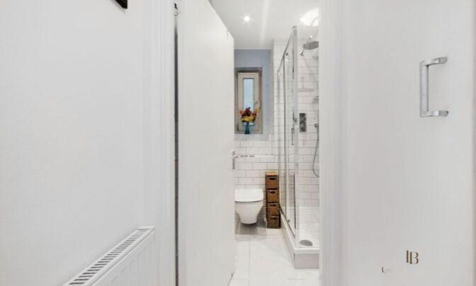 Элгин Мьюс В11