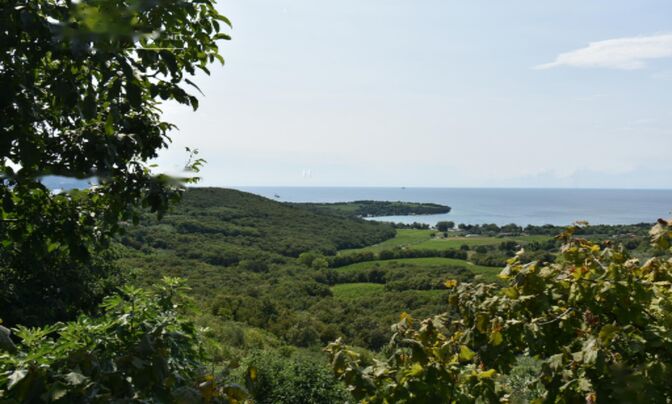 Дом с террасой Коломбан