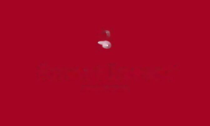 Трёхкомнатная квартира Центр