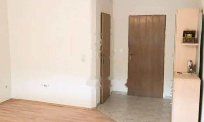 Однокомнатная квартира, Опатия