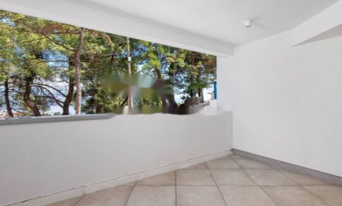 Трёхкомнатная квартира, Опатия