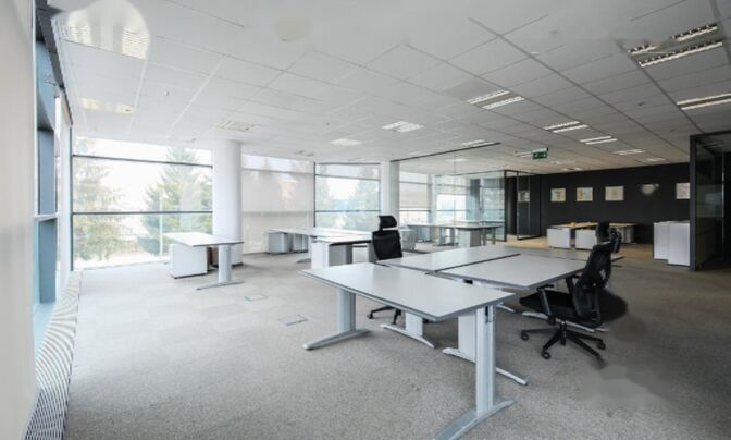 Офисное помещение Шишка