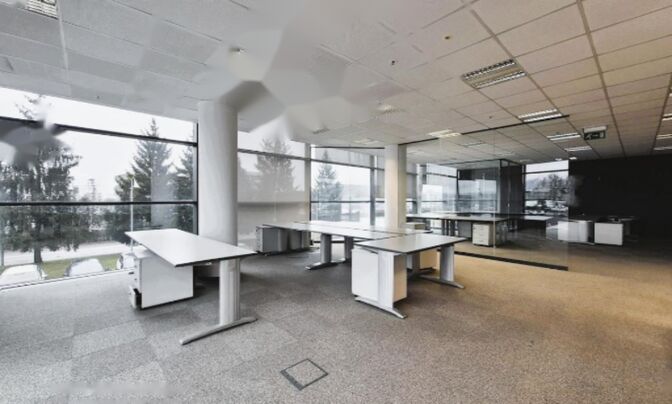 Офисное помещение, Шишка