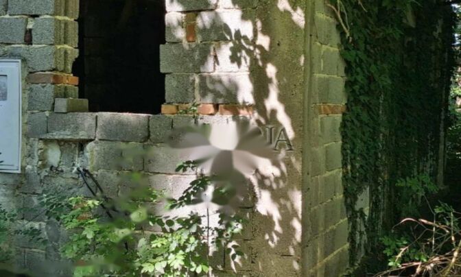 Дом в Великом Требелеве