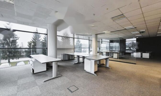 Офисное помещение Шишка