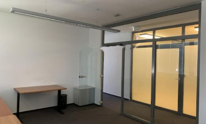 Офисное помещение Шишка