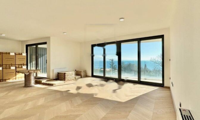 Четырехкомнатная квартира, Опатия