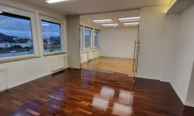 Офисное помещение, Шишка