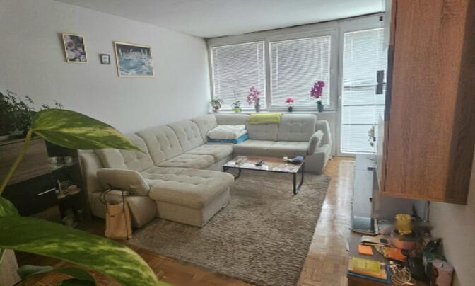 Новое четырёхкомнатное жильё Люция