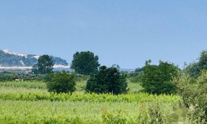 Дом, Драгонья